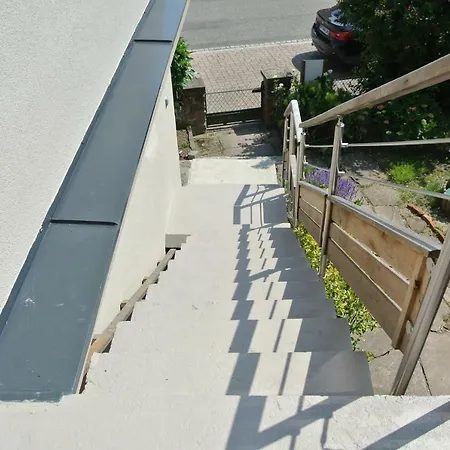 Abricot & Chocolat *