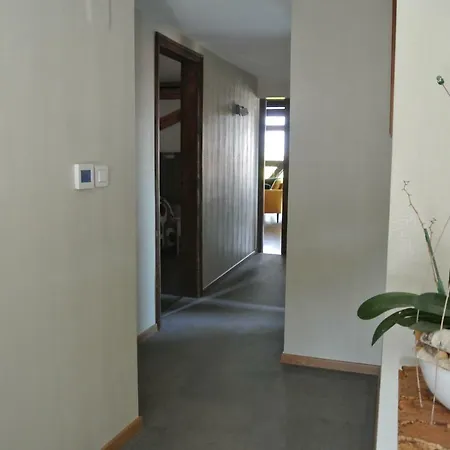 Abricot & Chocolat Apartment